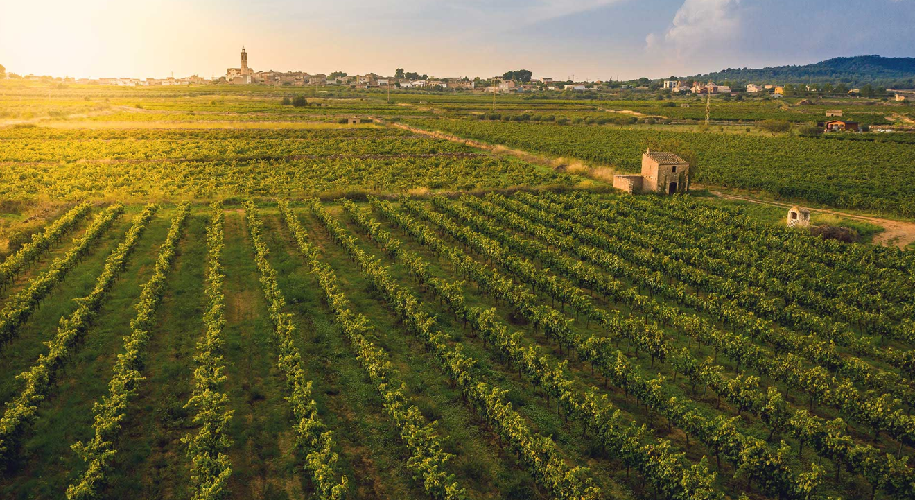 Captura de pantalla 2026 03 18 083703 - AESB