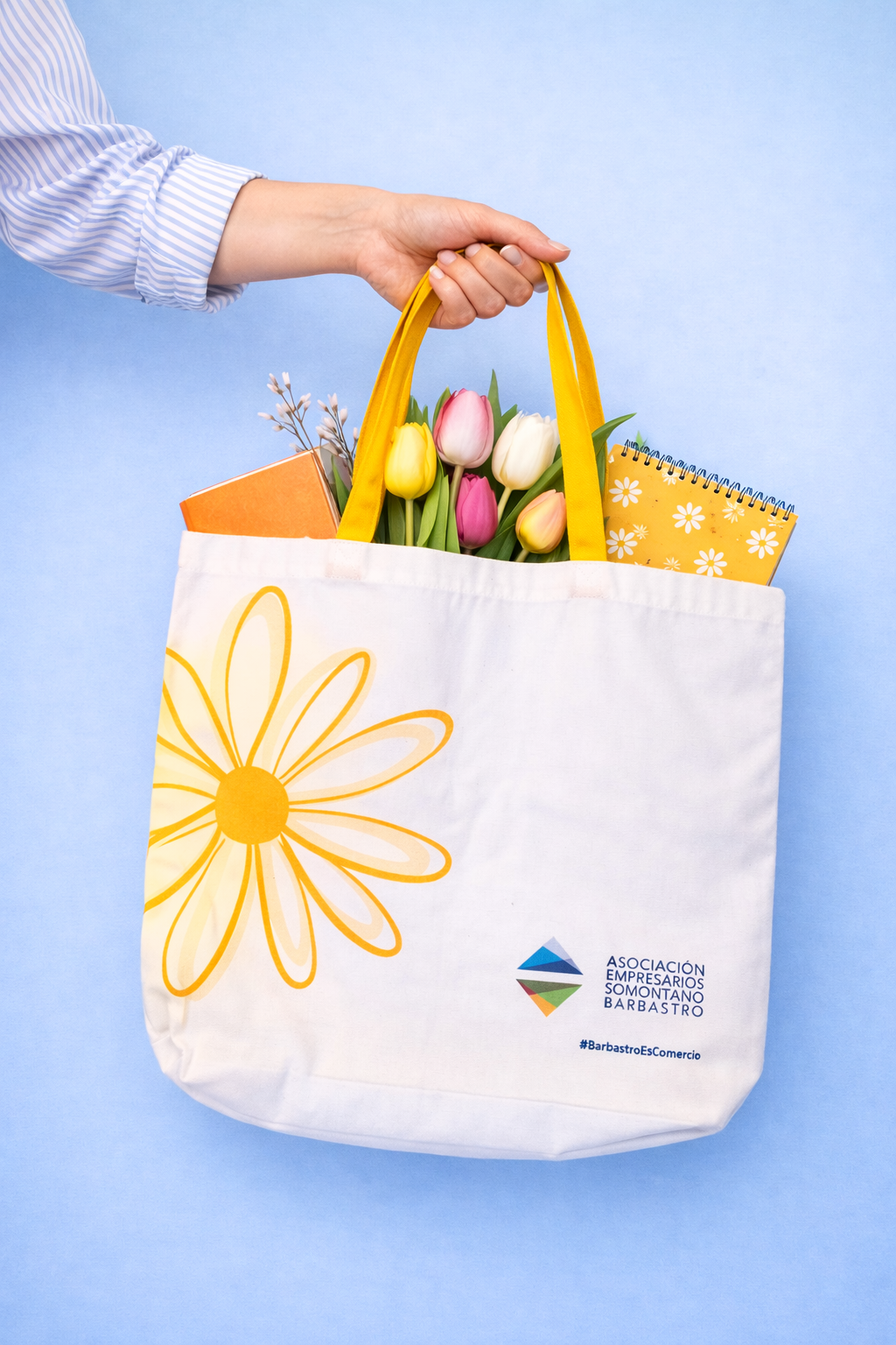 IMAGEN BOLSA GENERAL - AESB