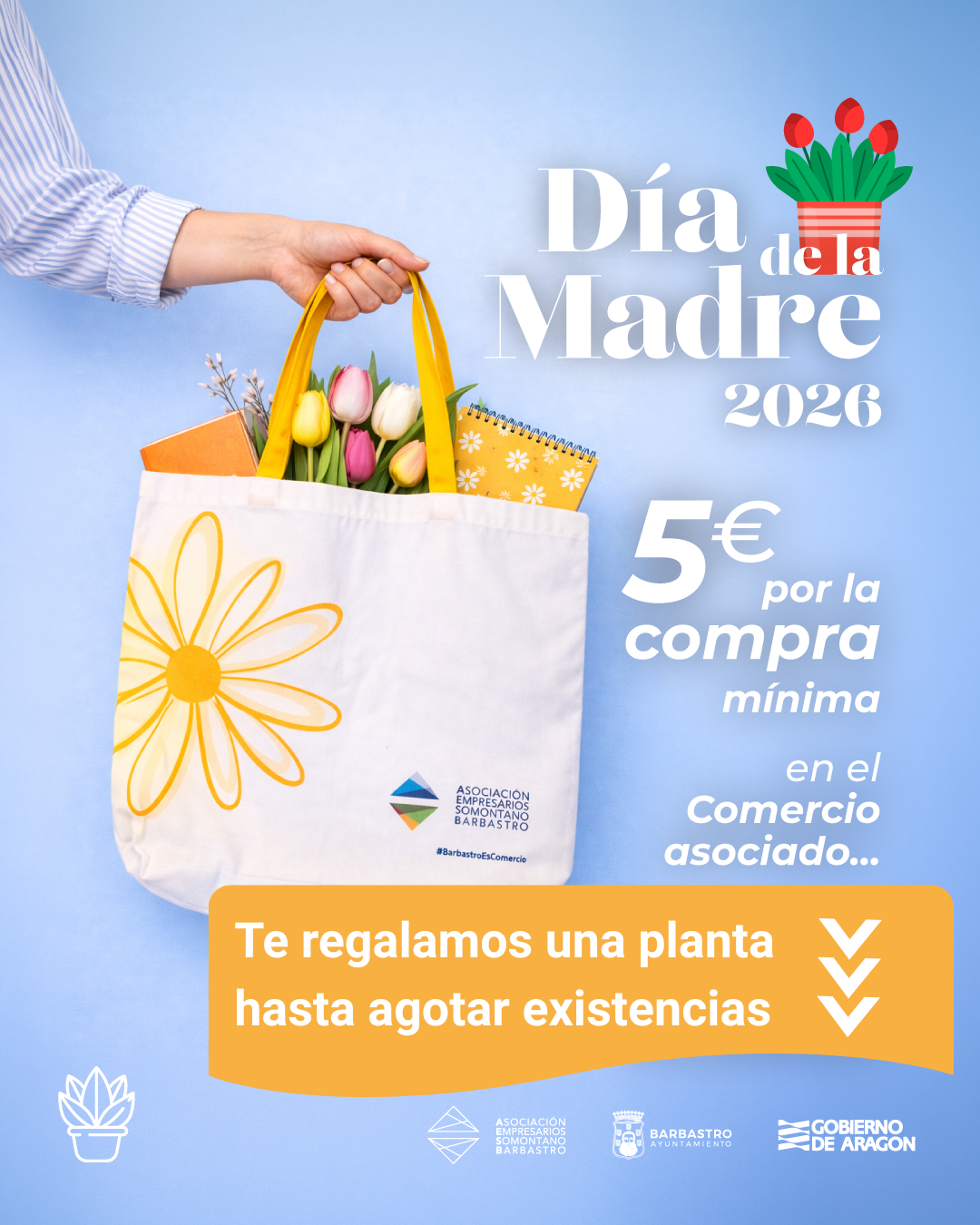 Te regalamos una planta hasta agotar - AESB
